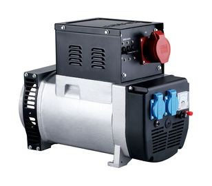 6KW 7KW 8KW Custom Alternators , High Output Mini Alternator 1.0 Power Factor